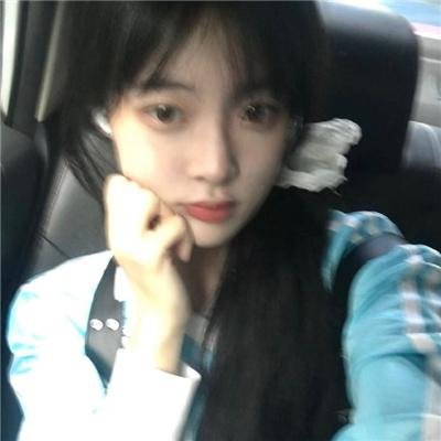 真情不诋樱花落